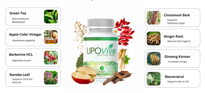 LipoVive Ingredients